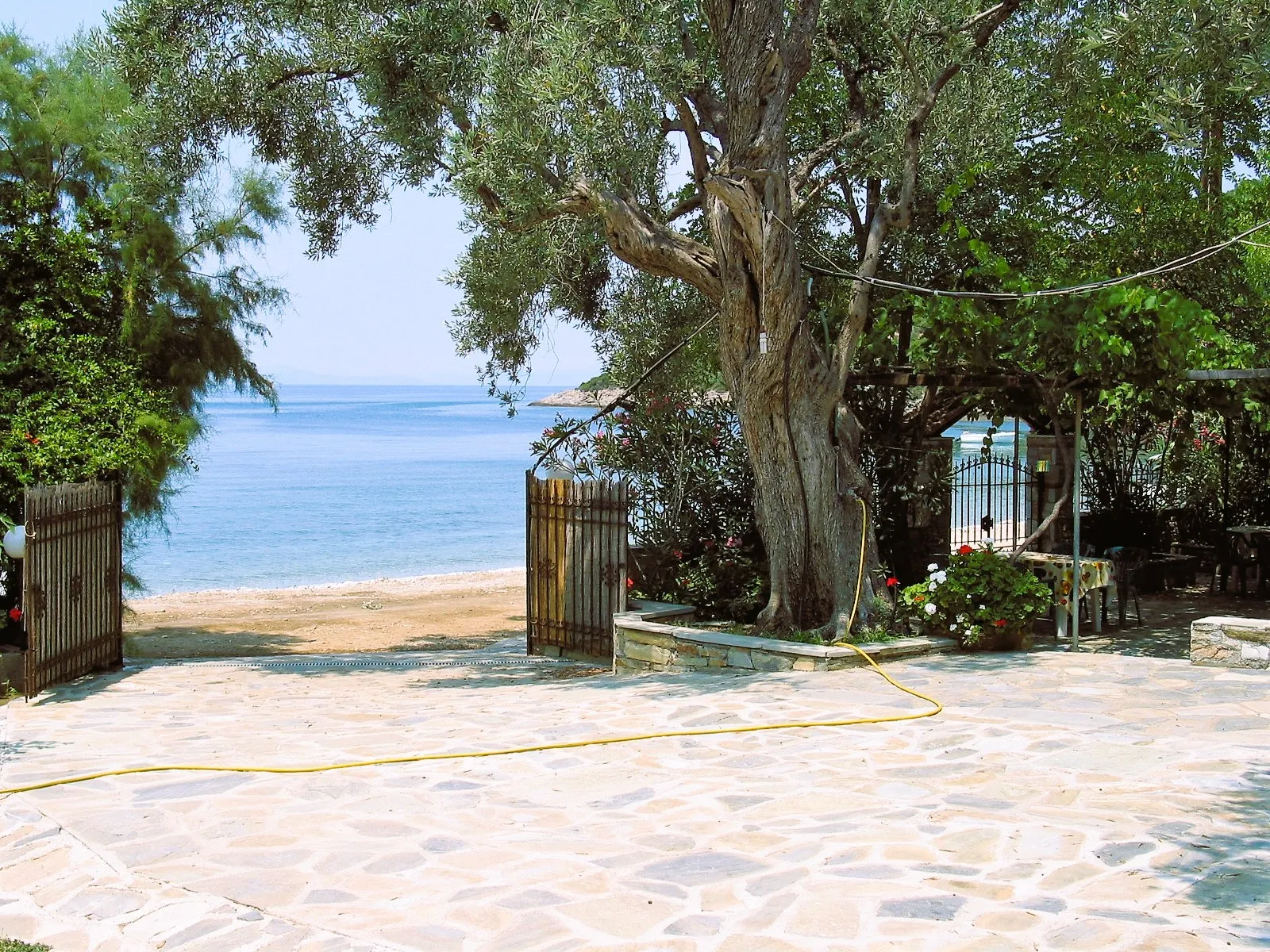 Niki Studios Paou beach - Pelion