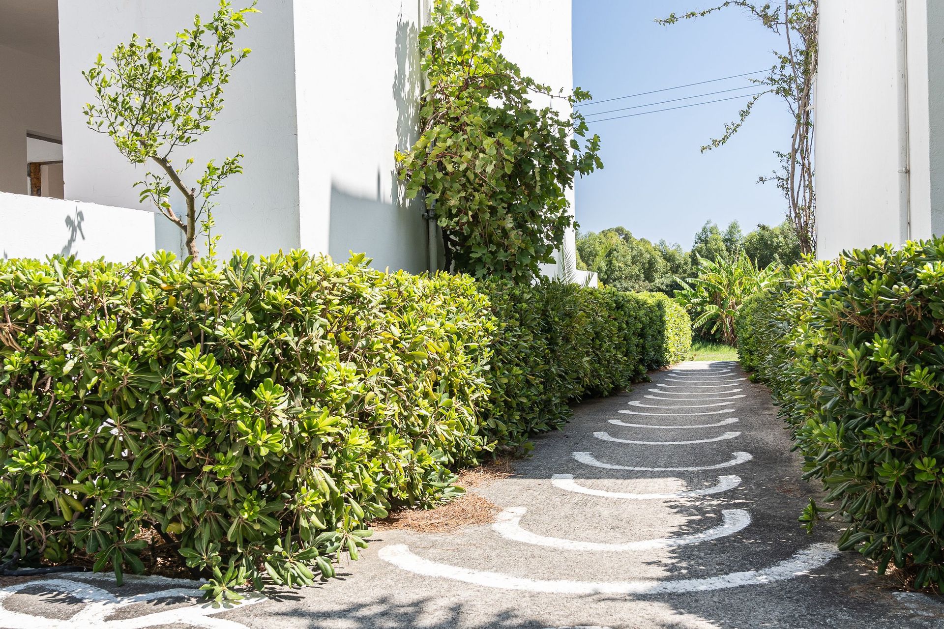 Absolute Kiotari Resort Rhodes