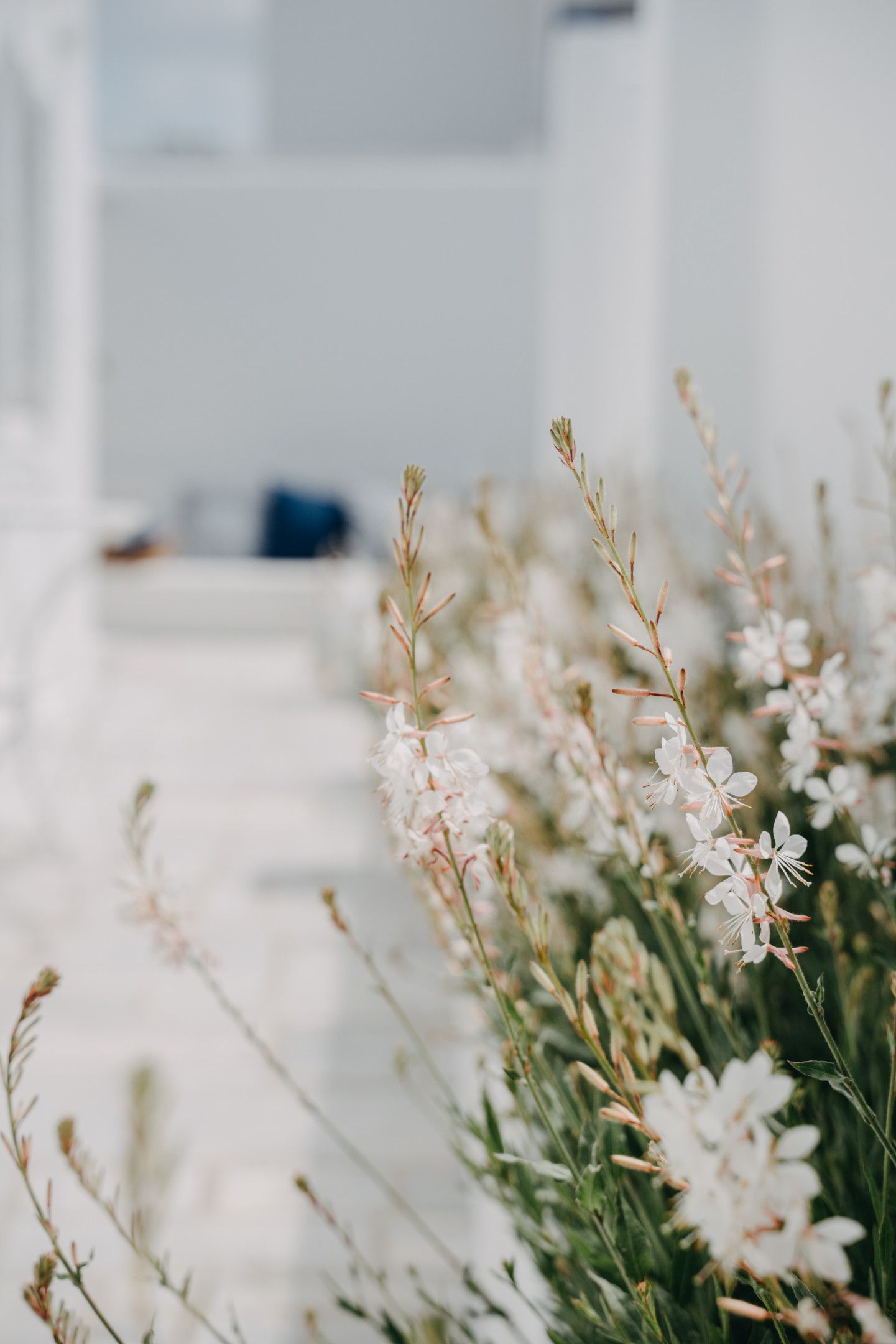 Aether Boutique Stay Mykonos