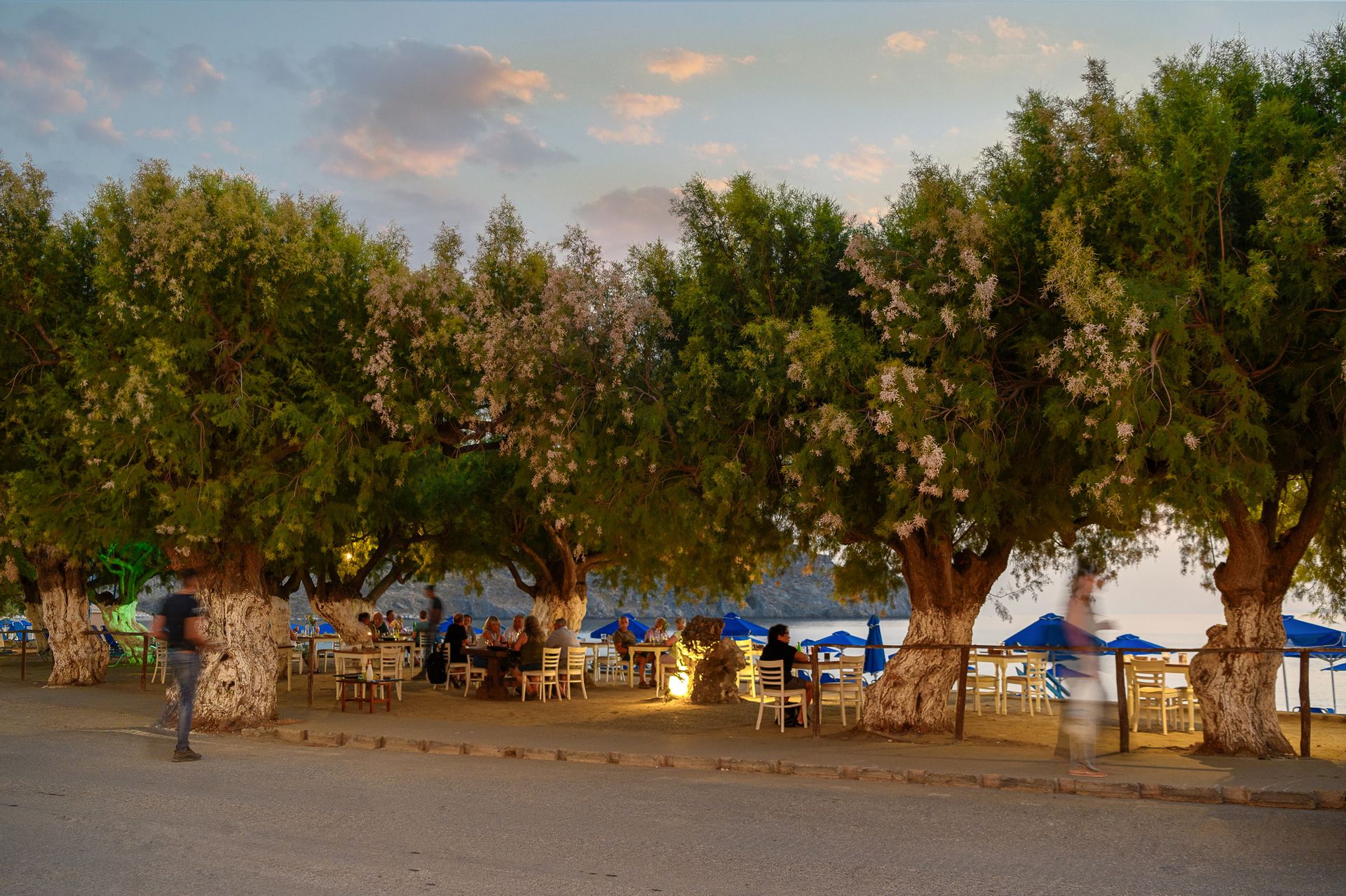 Alianthos Beach Hotel Rethymno