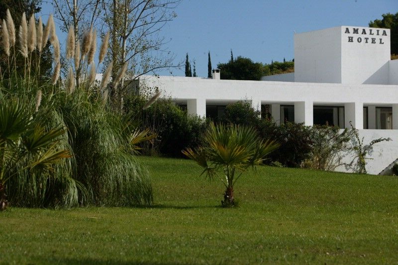 Amalia Hotel Olympia