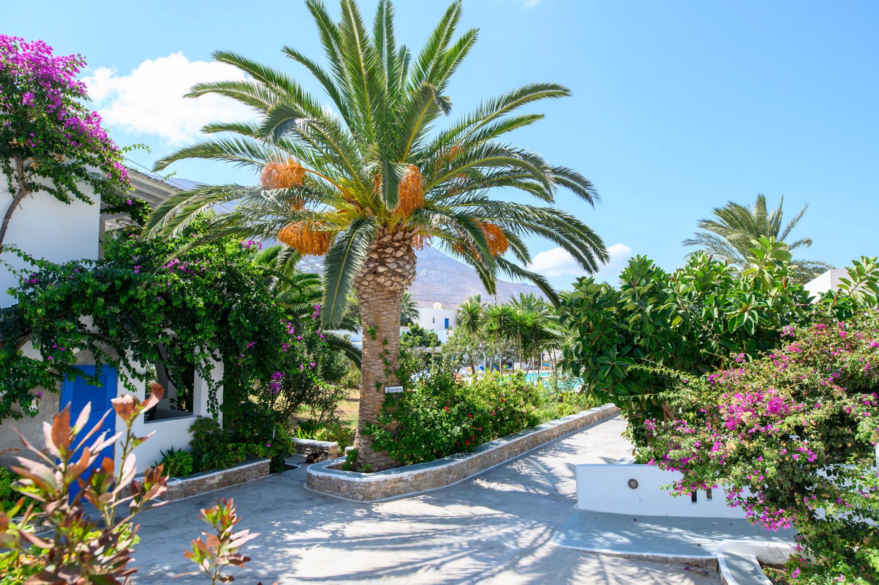 Lakki Village Family Beach Hotel