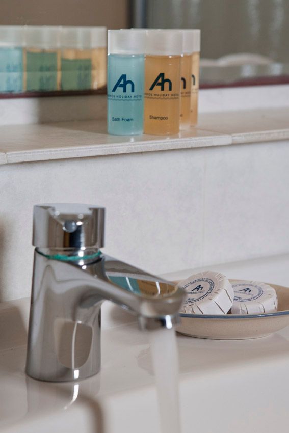 Andros Holiday Hotel