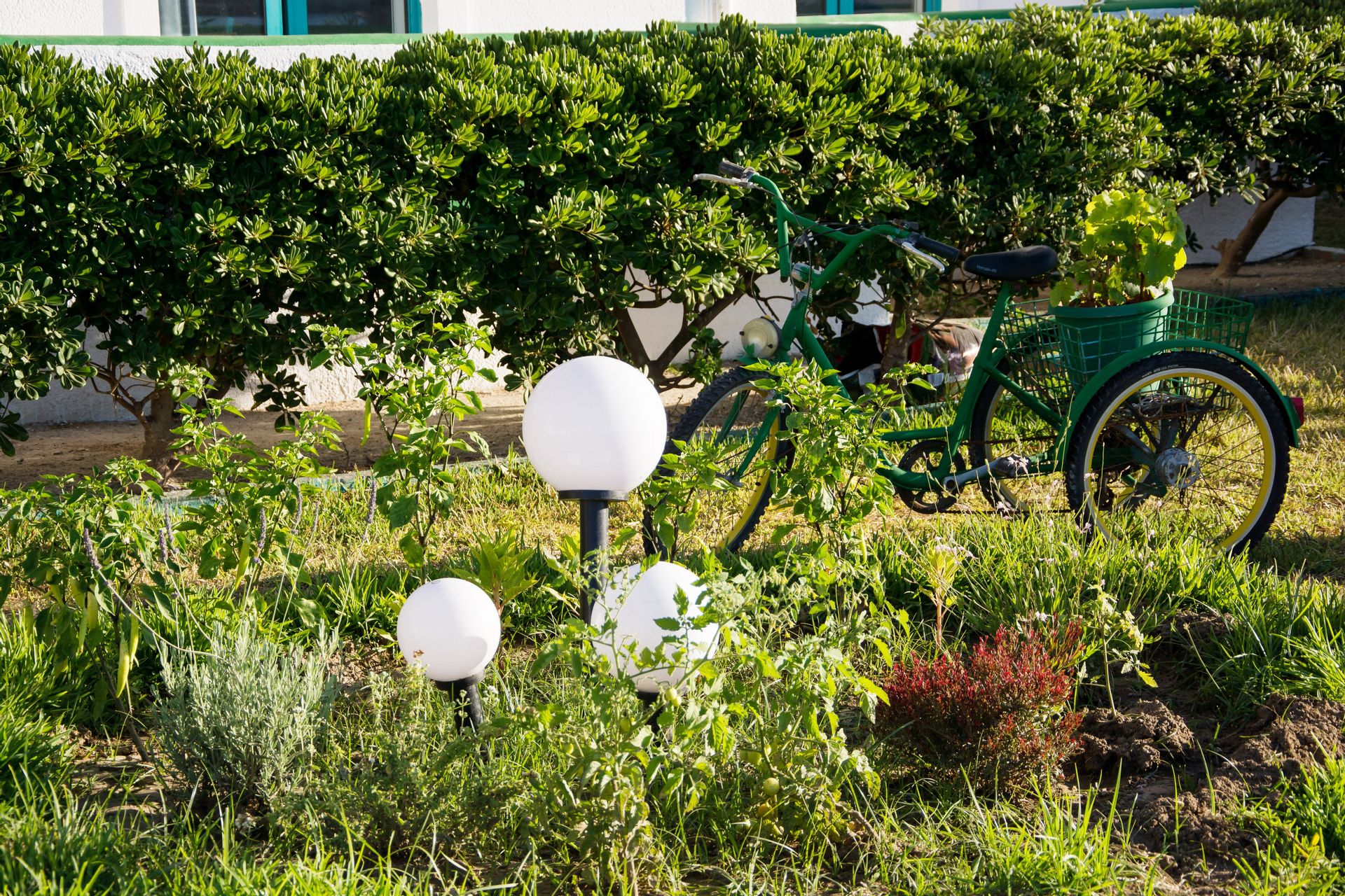 Angela Thalia Apartments