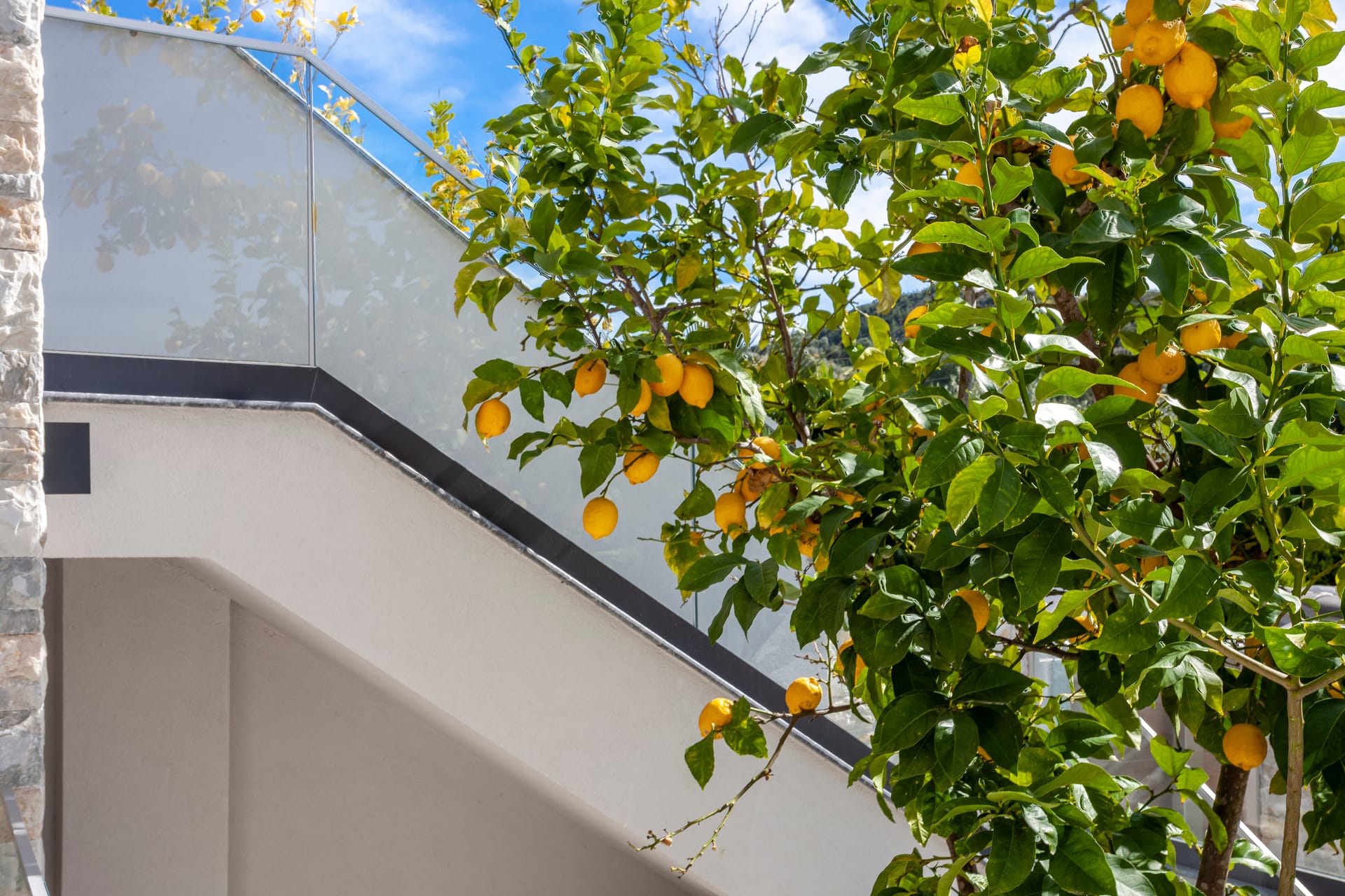 Apartment Chalkidiki