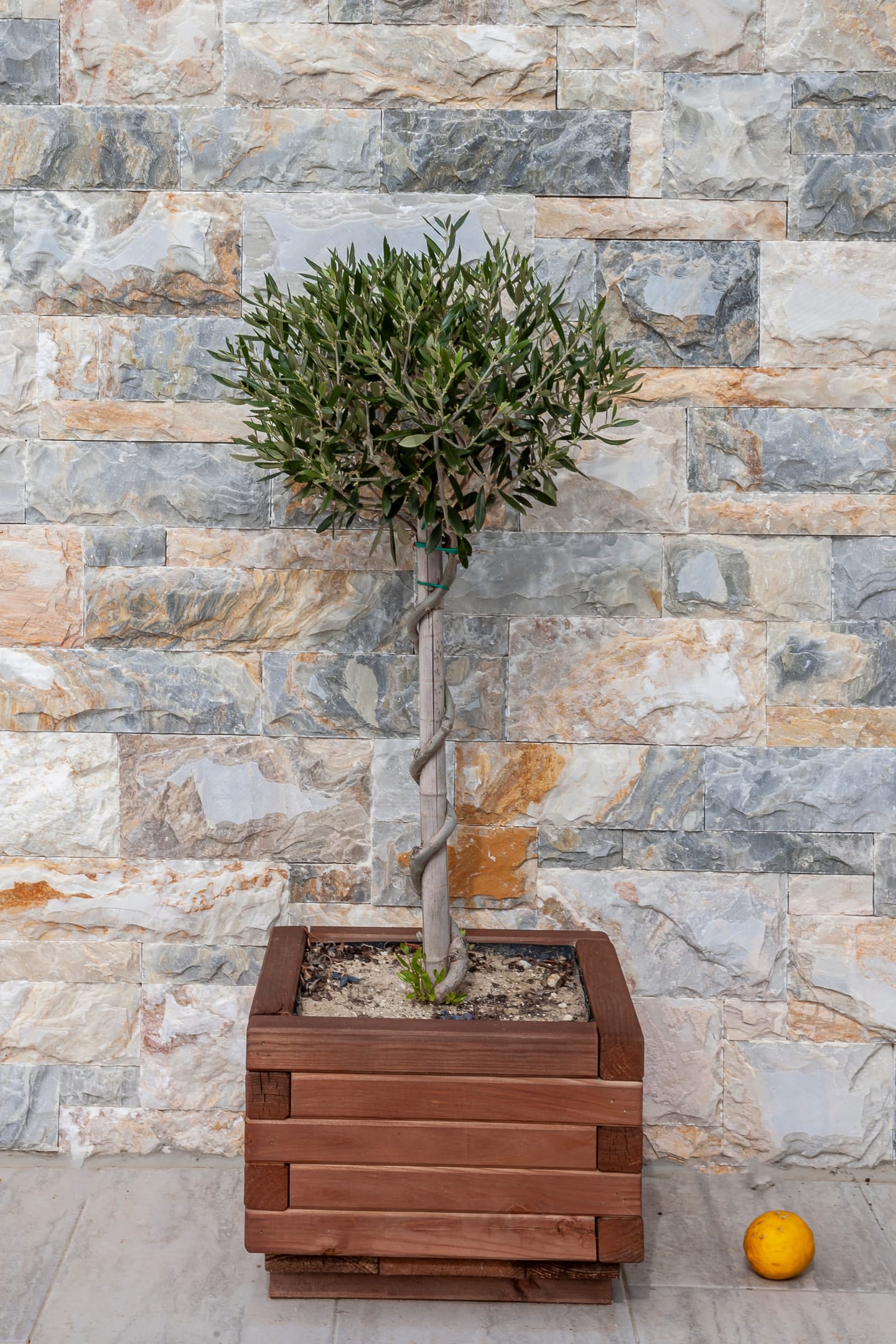 Apartment Chalkidiki