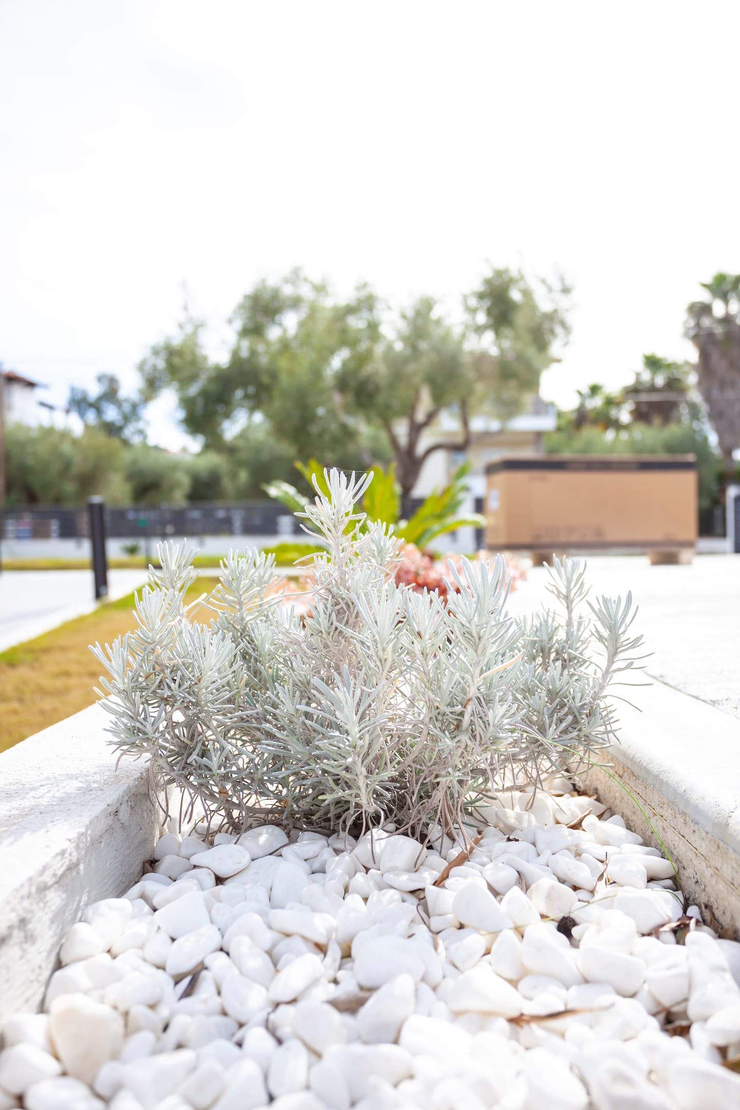 Apartment Chalkidiki