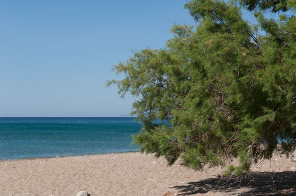 Aphrodite Samos Suites