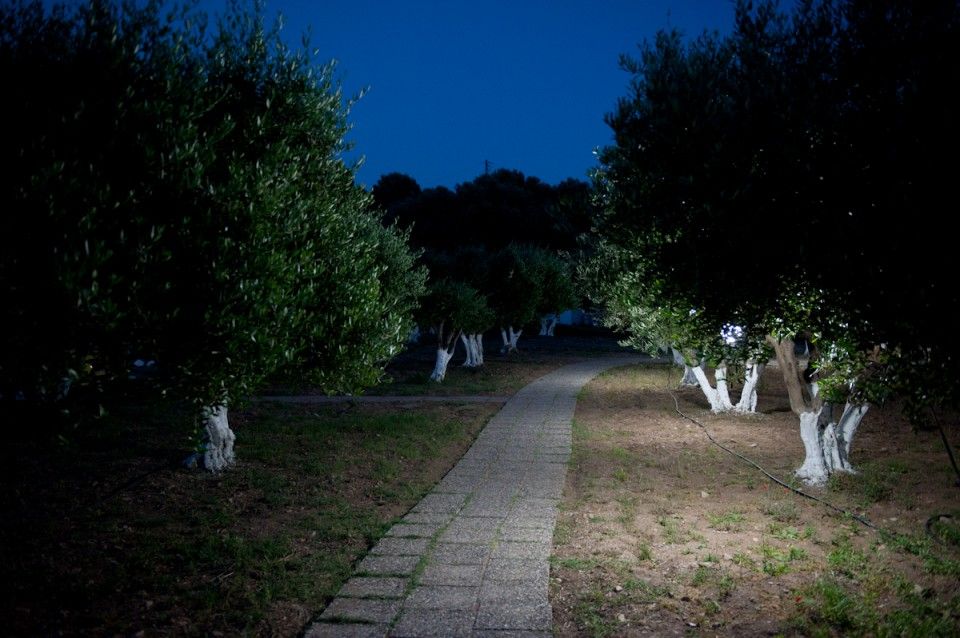 Aphrodite Samos Suites