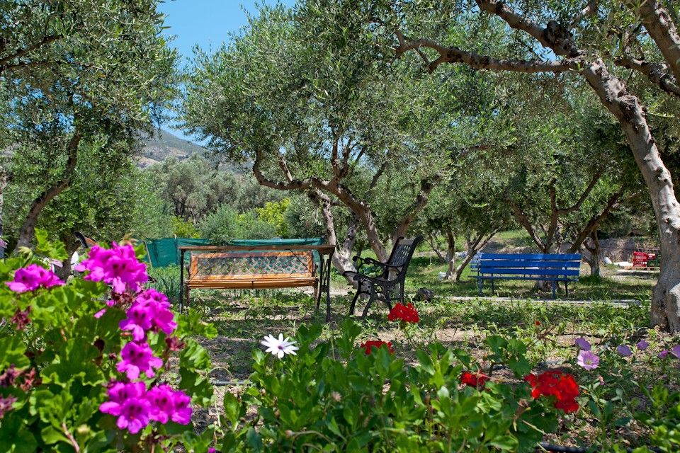 Aphrodite Samos Suites