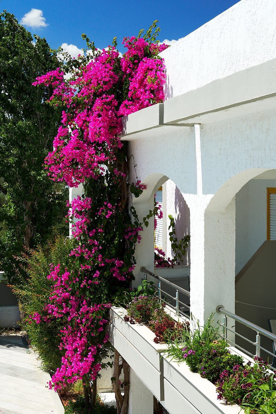Apollon Hotel Apartments Rethymno