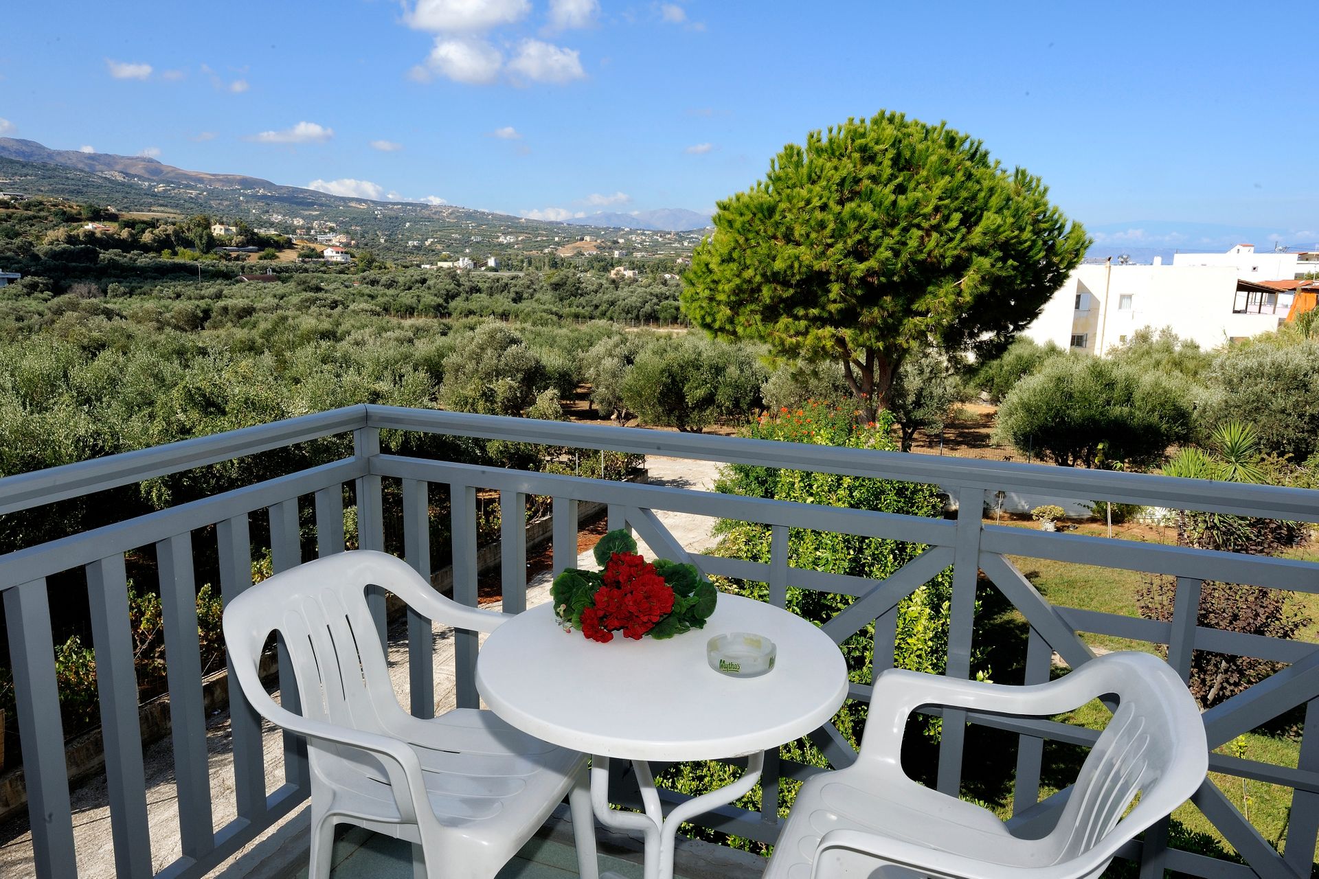 Apollon Hotel Apartments Rethymno