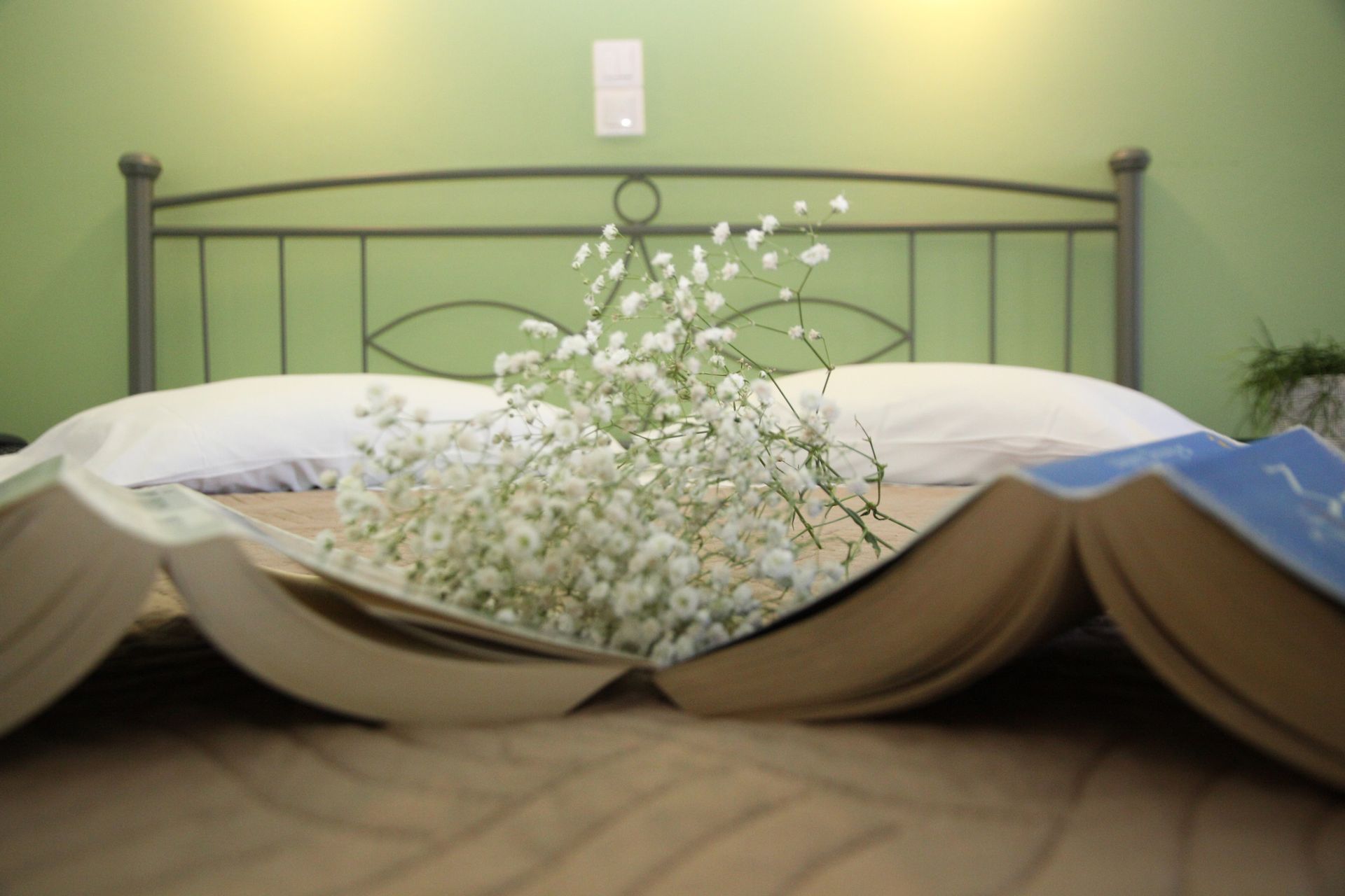 Apollon Hotel Apartments Rethymno