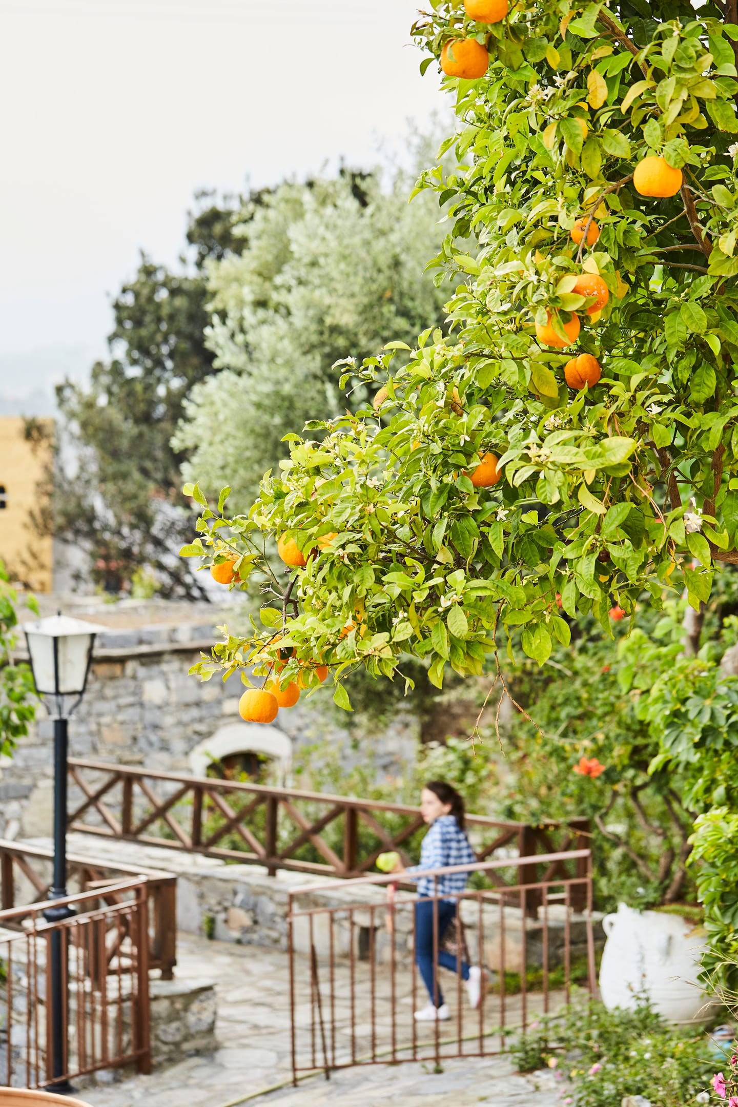 Arolithos Traditional Cretan Village