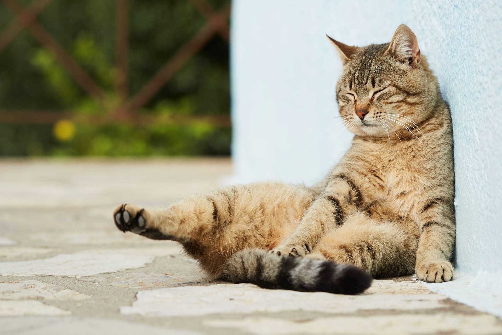 Arolithos Traditional Cretan Village