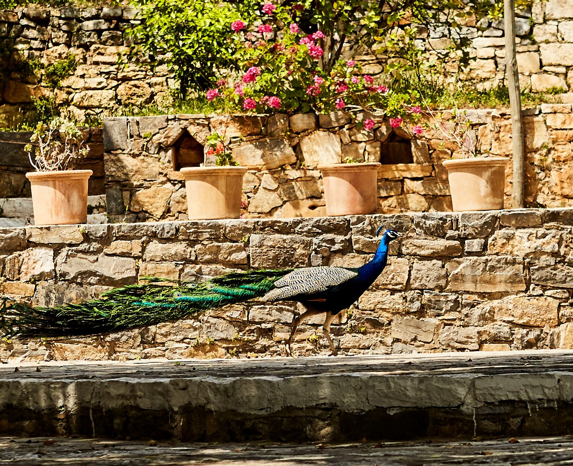 Arolithos Traditional Cretan Village