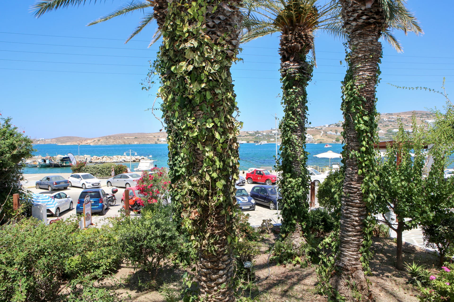 Asterias Hotel - Paros