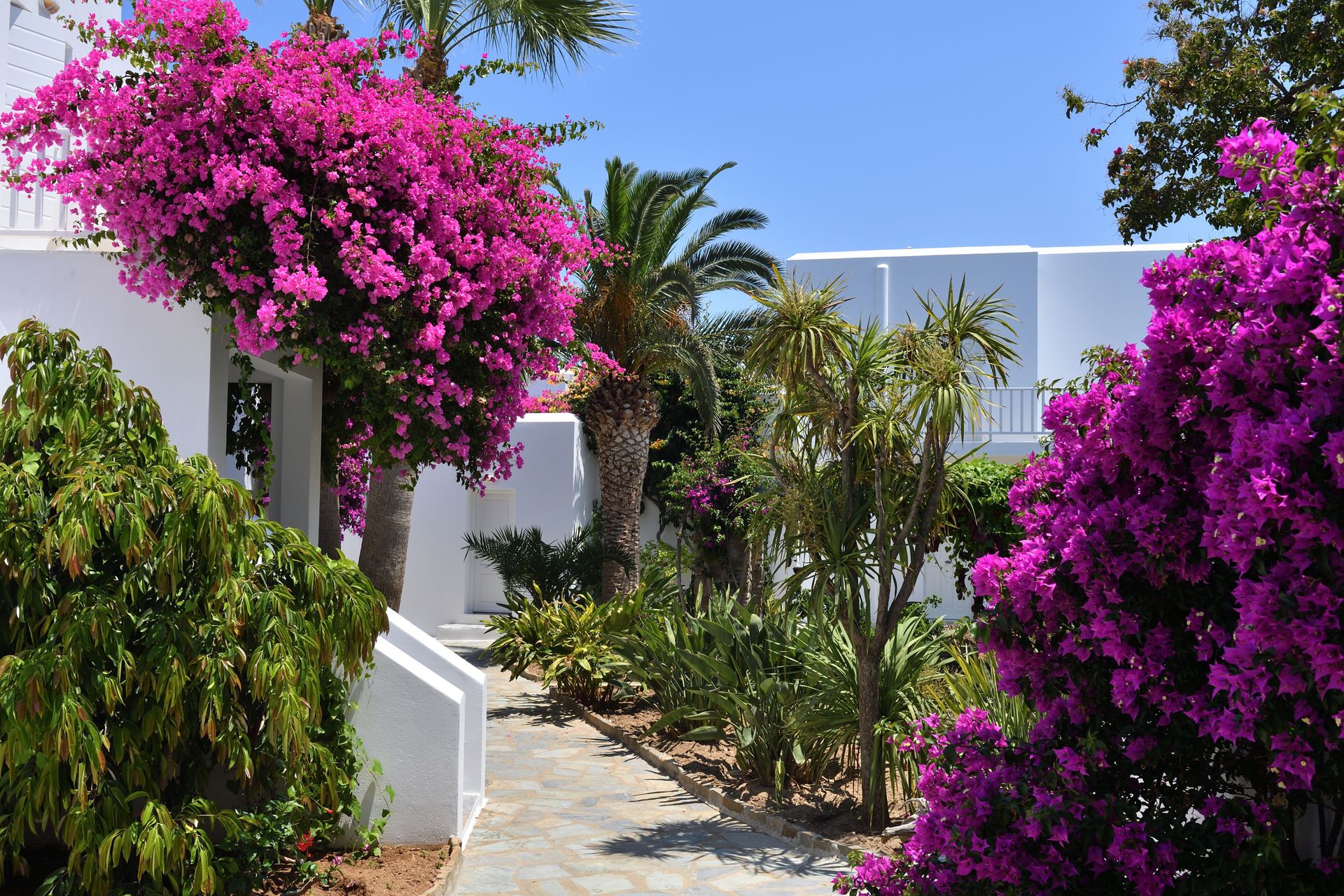 Astir of Paros Hotel