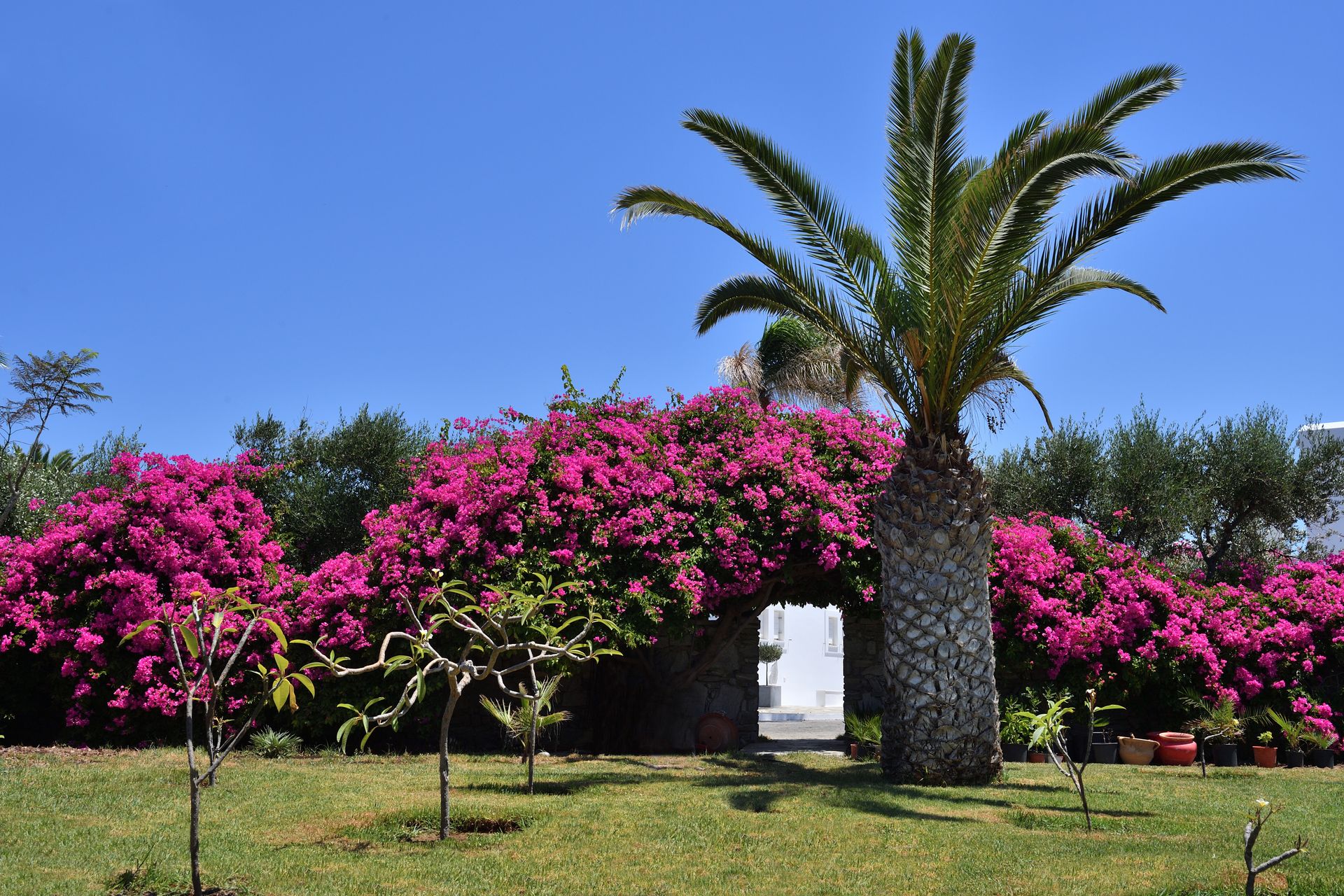 Astir of Paros Hotel