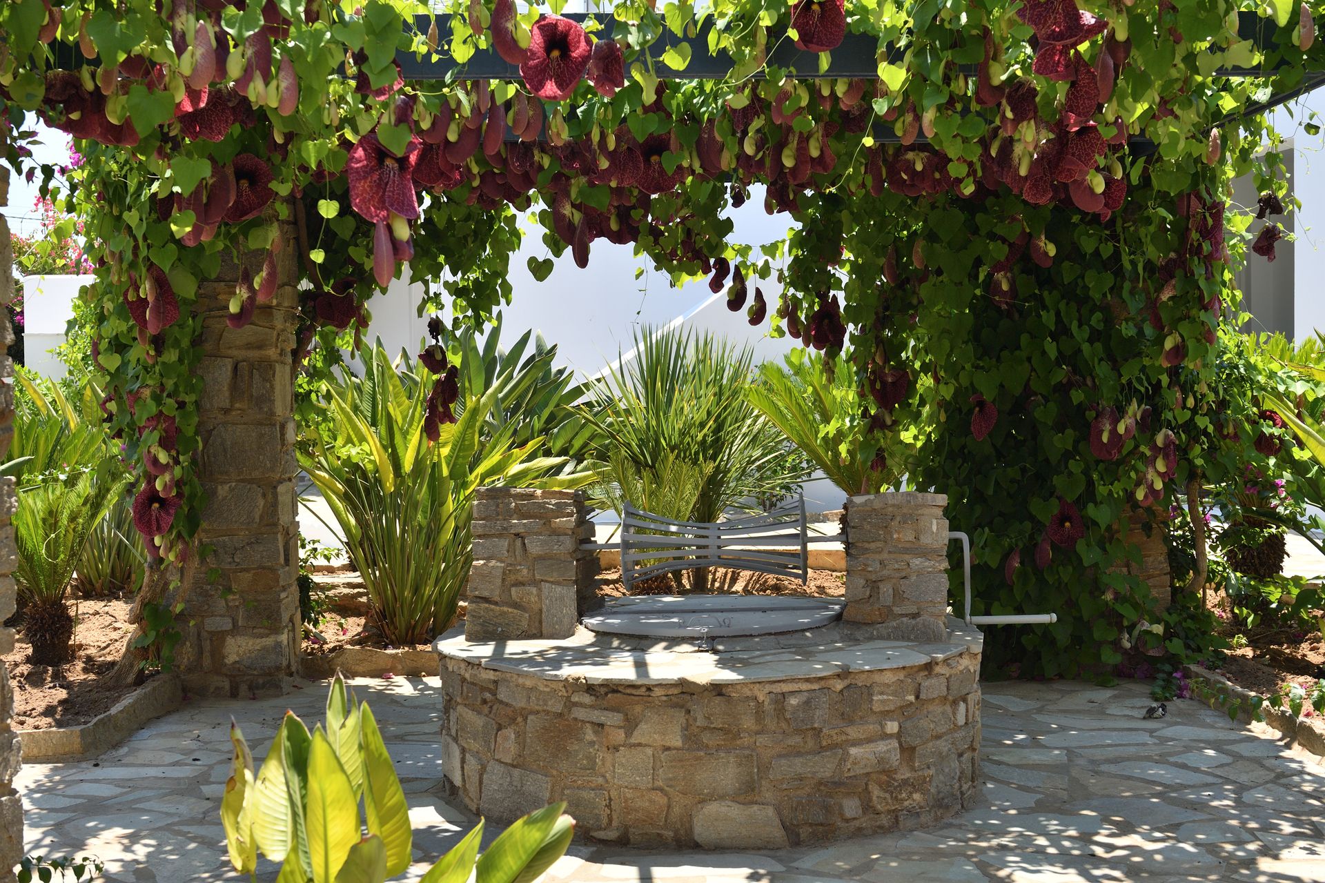 Astir of Paros Hotel