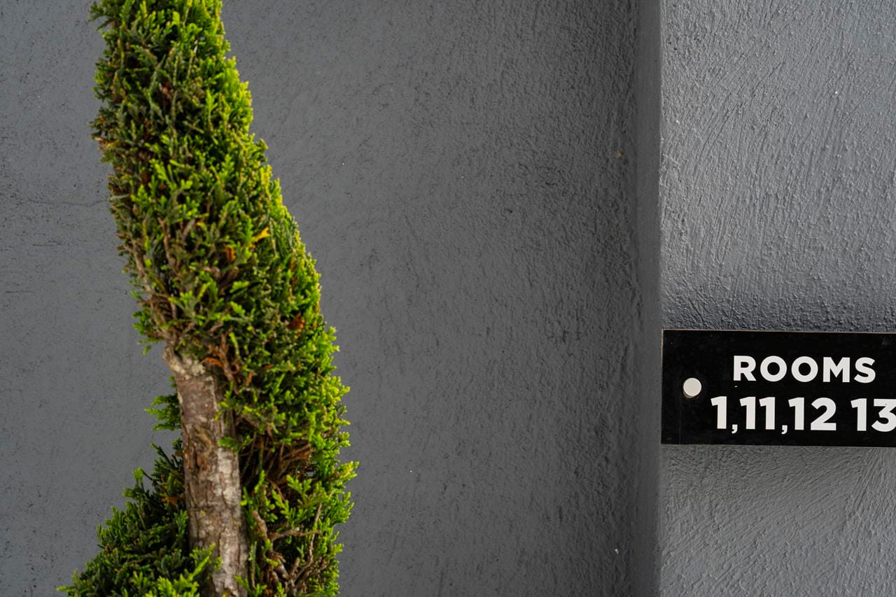 Avaton Luxury Resort Access the Enigma