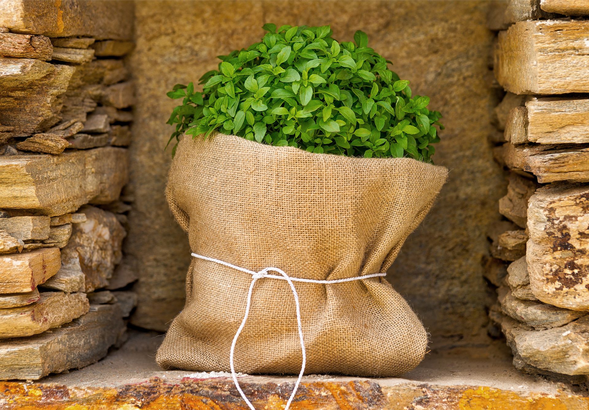 Belvedere Suites Andros