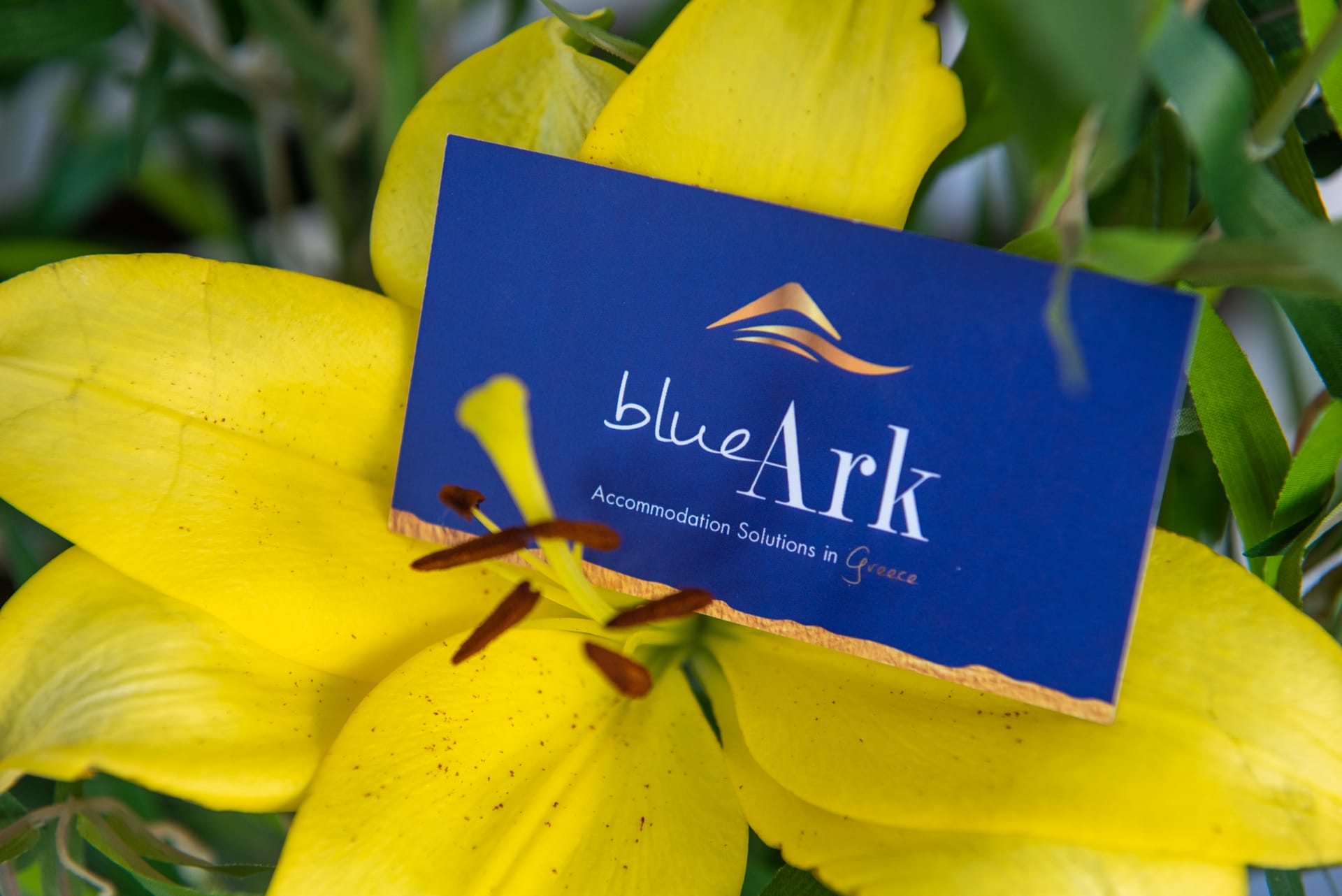 Blue Ark Acropolis Spirit