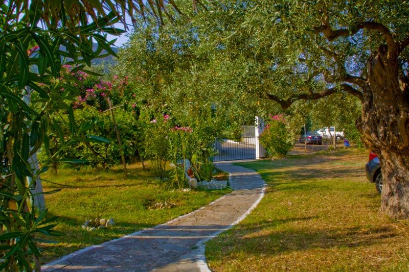 Blue Bay Beach Hotel