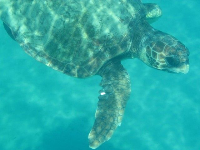 Castelli Hotel Zante