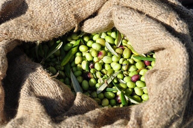 Castelli Hotel Zante