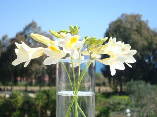 Castelli Hotel Zante