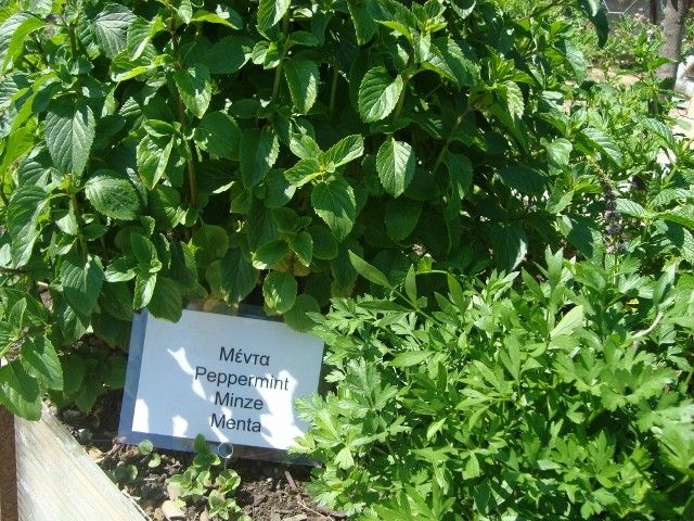 Castelli Hotel Zante