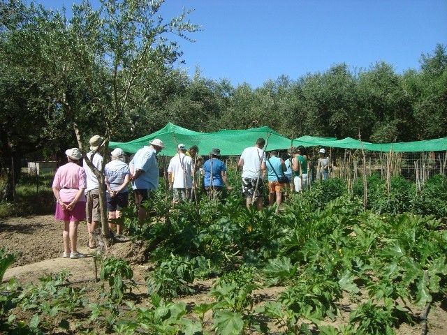 Castelli Hotel Zante