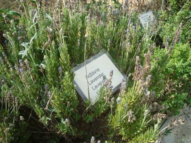 Castelli Hotel Zante