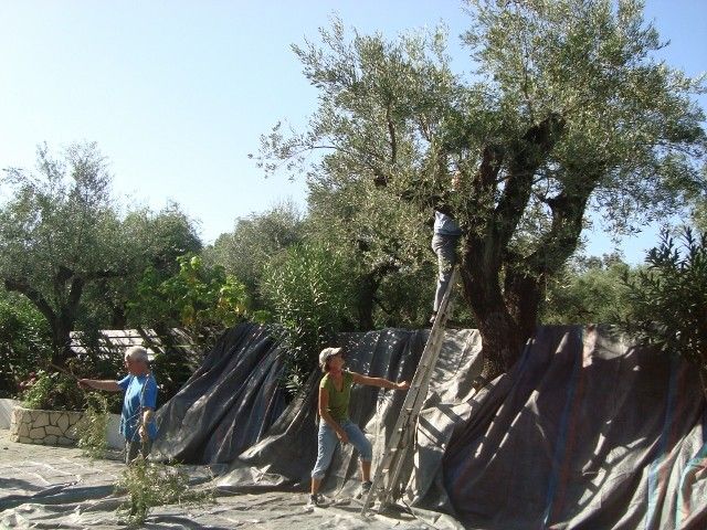 Castelli Hotel Zante