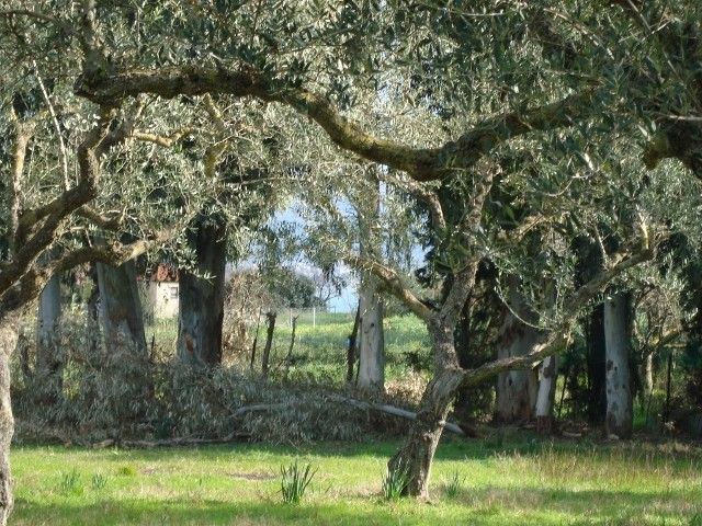 Castelli Hotel Zante