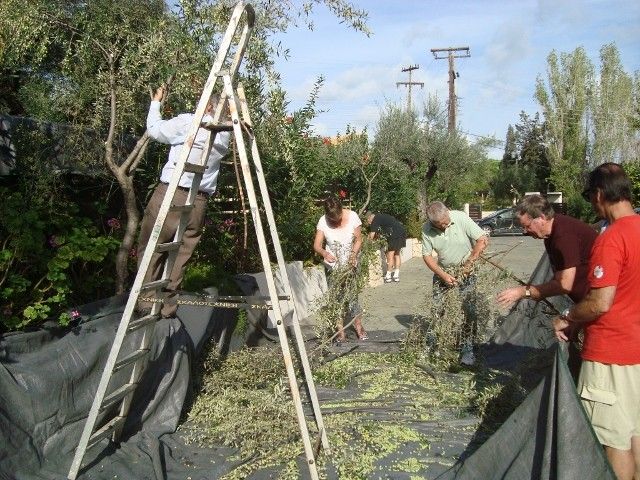 Castelli Hotel Zante
