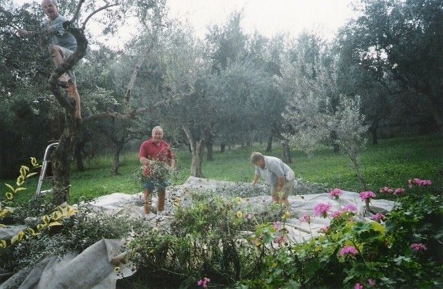 Castelli Hotel Zante