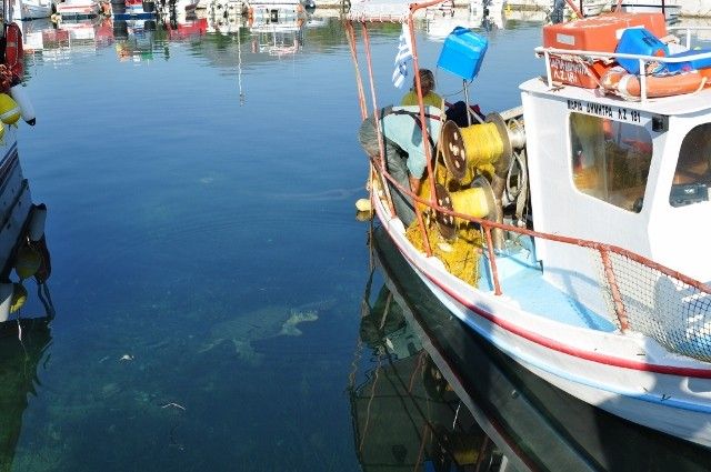 Castelli Hotel Zante