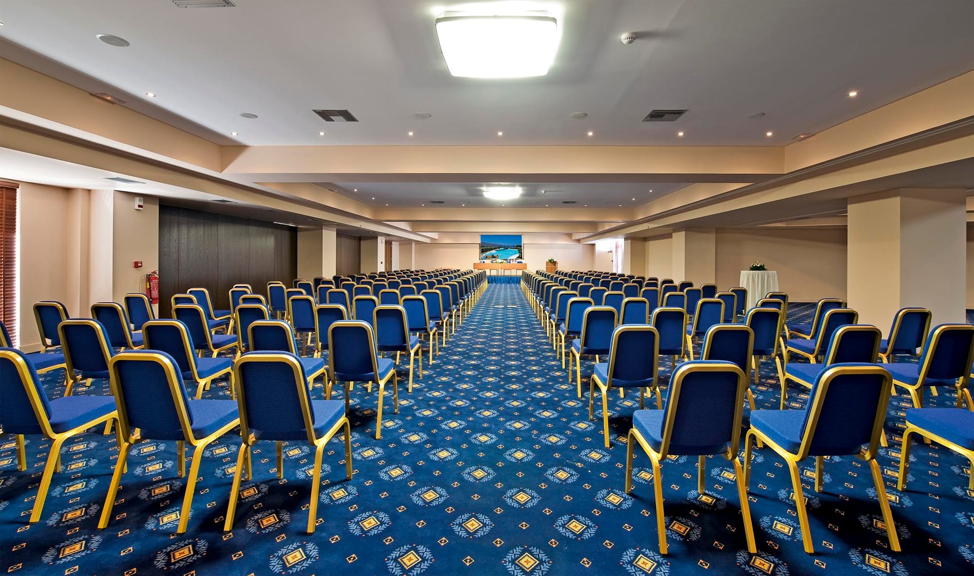 Spatha Conference Room - Theatre Sitting