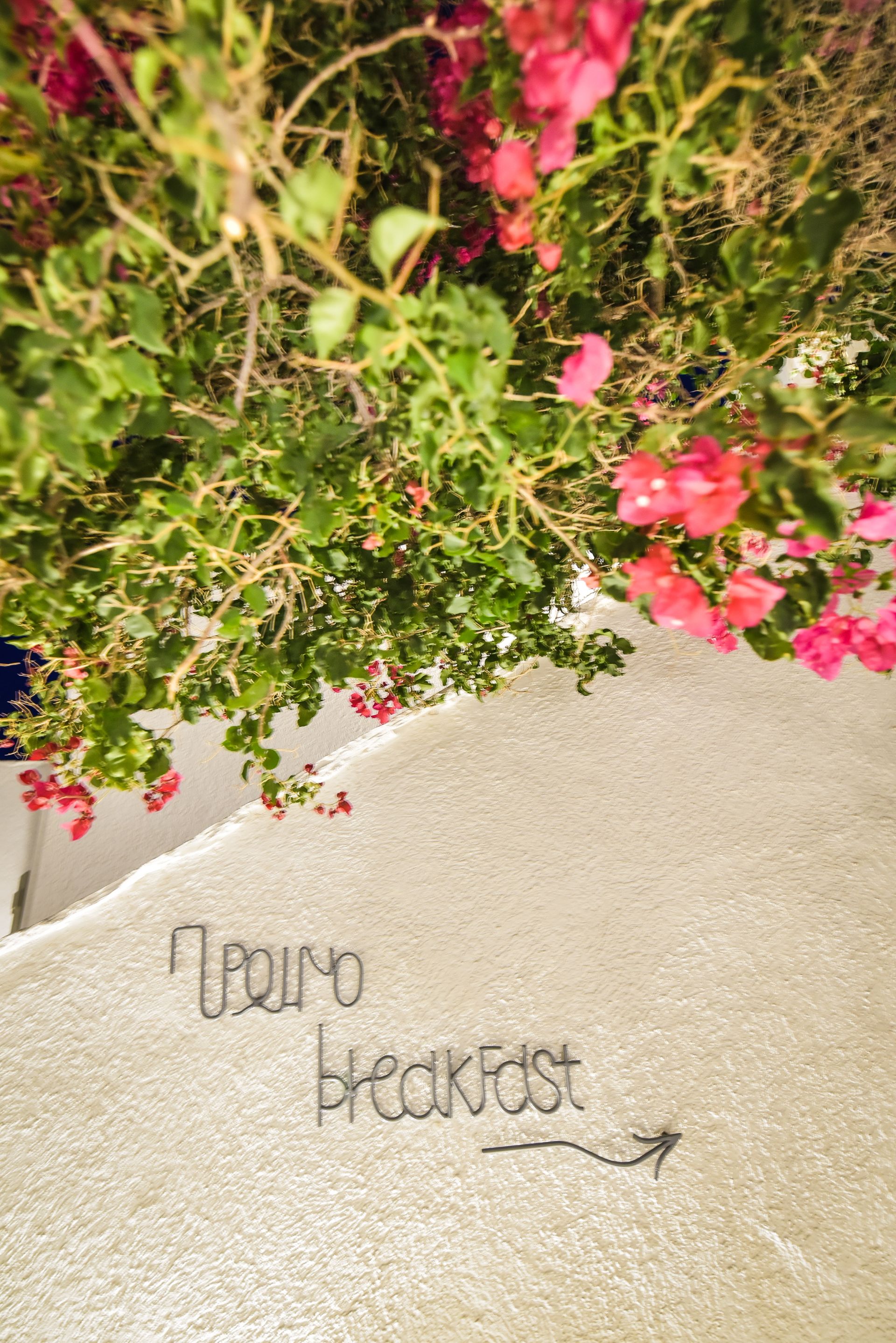 Cavos Bungalows & Studios