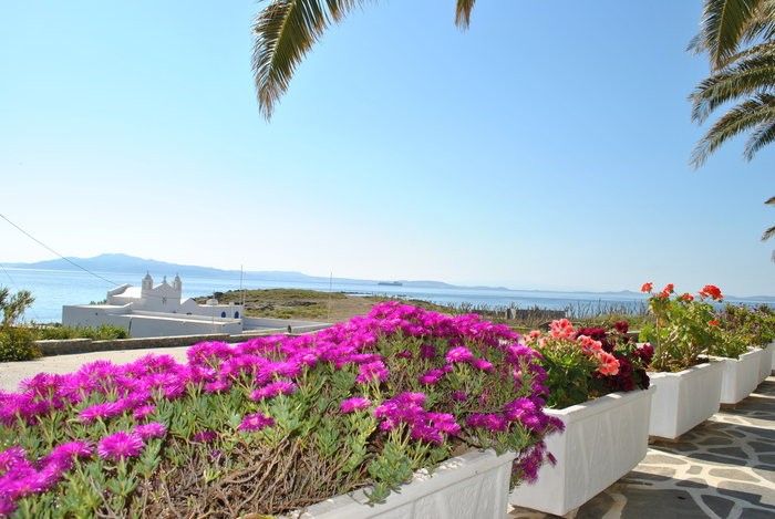 Cavos Bungalows & Studios