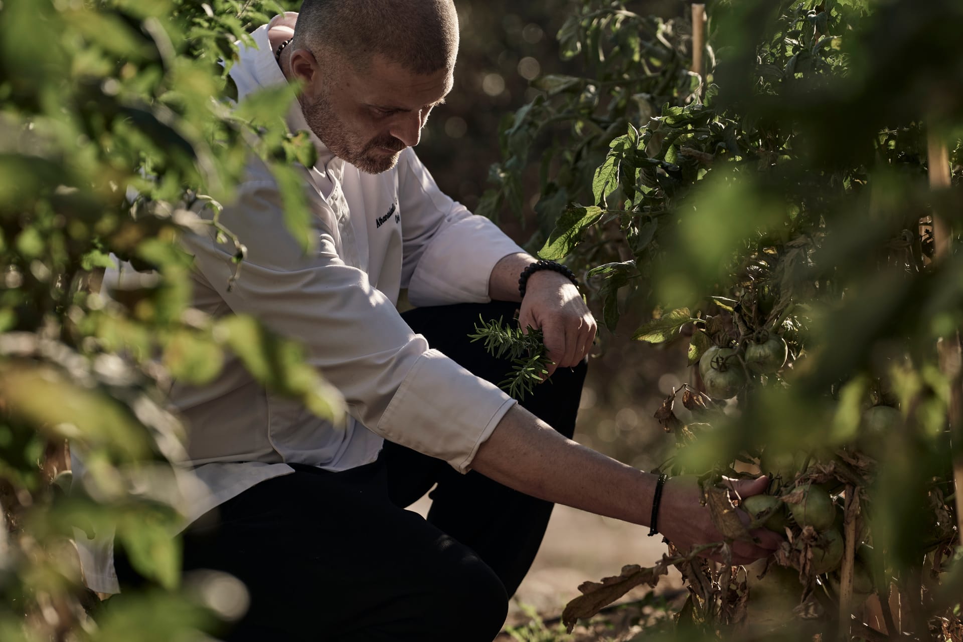 Celestial All Suites