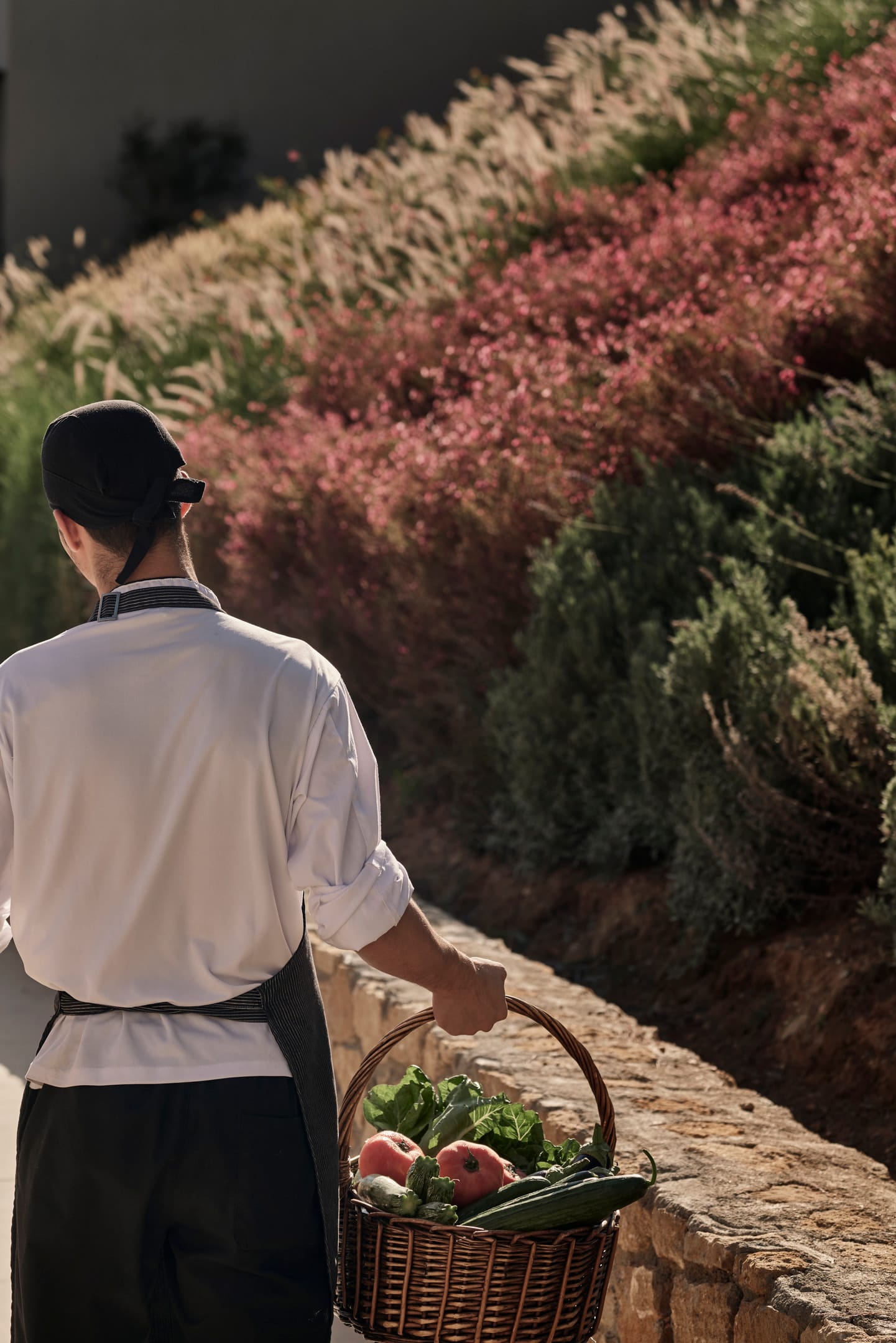 Celestial All Suites