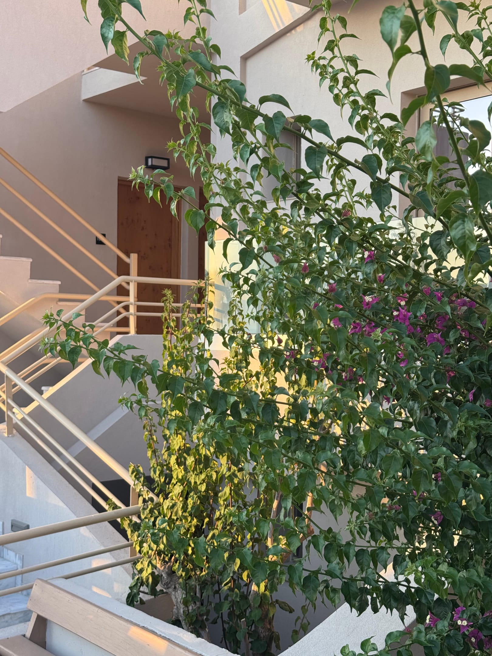 The Noverian Antama Organic Beach Resort Chania