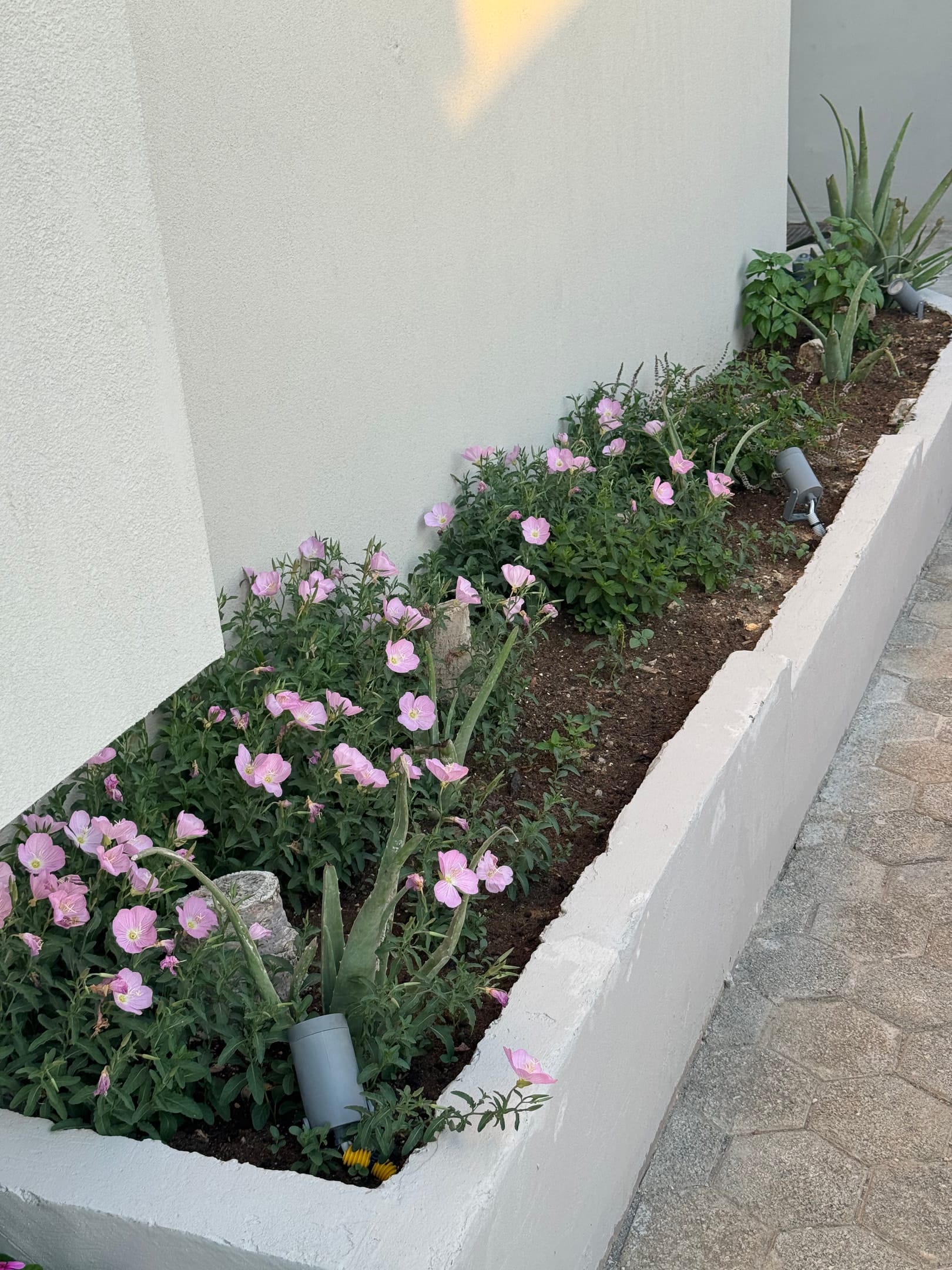 The Noverian Antama Organic Beach Resort Chania