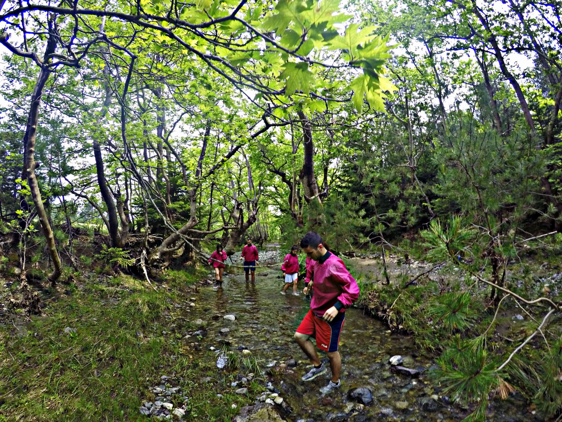 Club Agia Anna Summer Resort