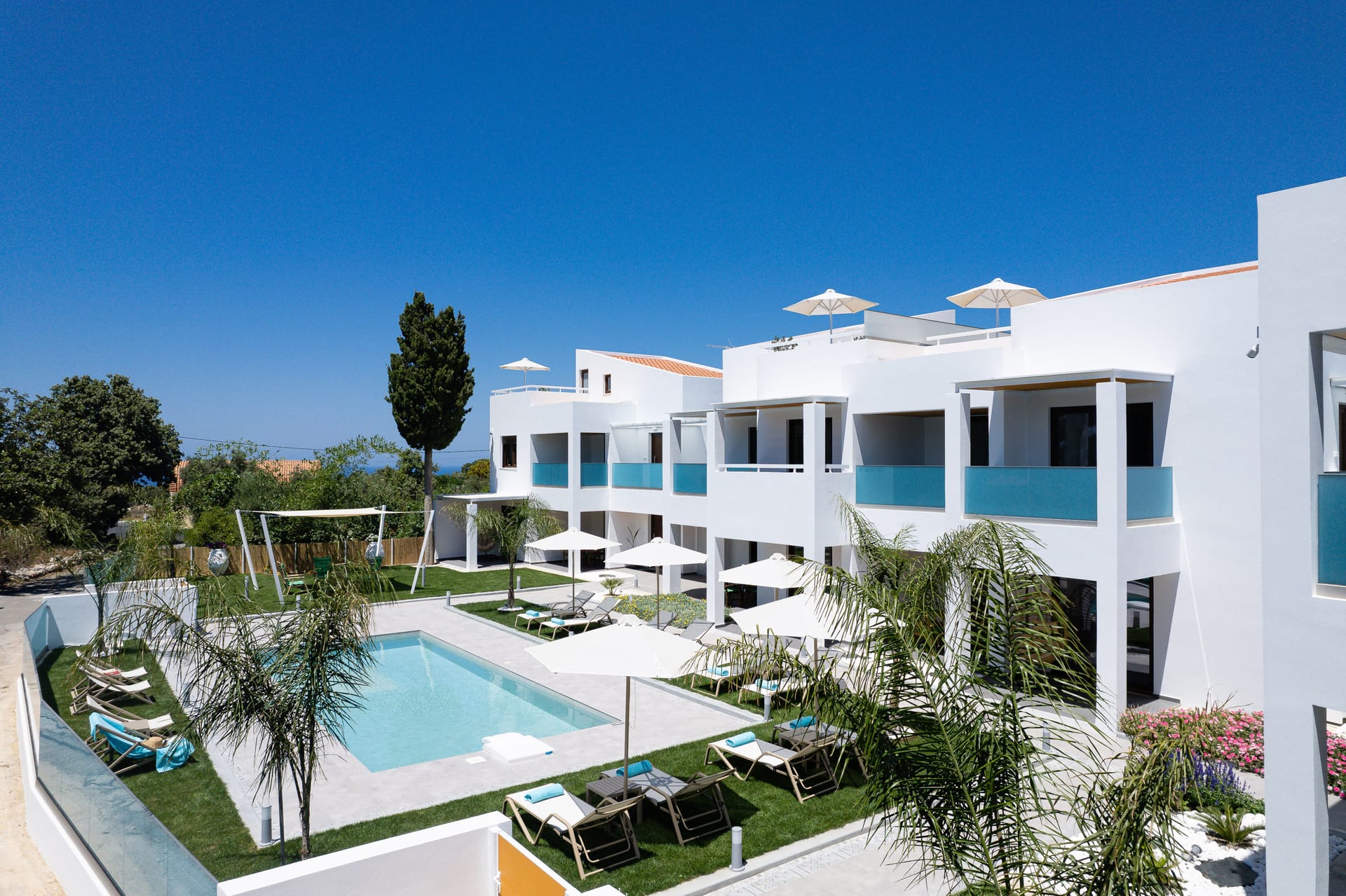 Coconut Palm Paradise