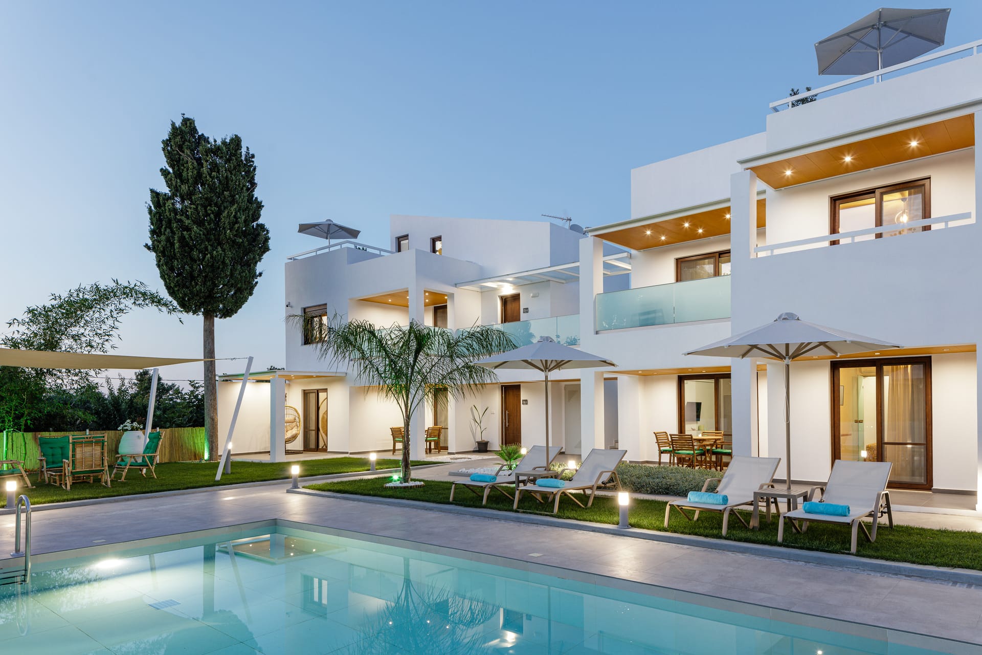 Coconut Palm Paradise