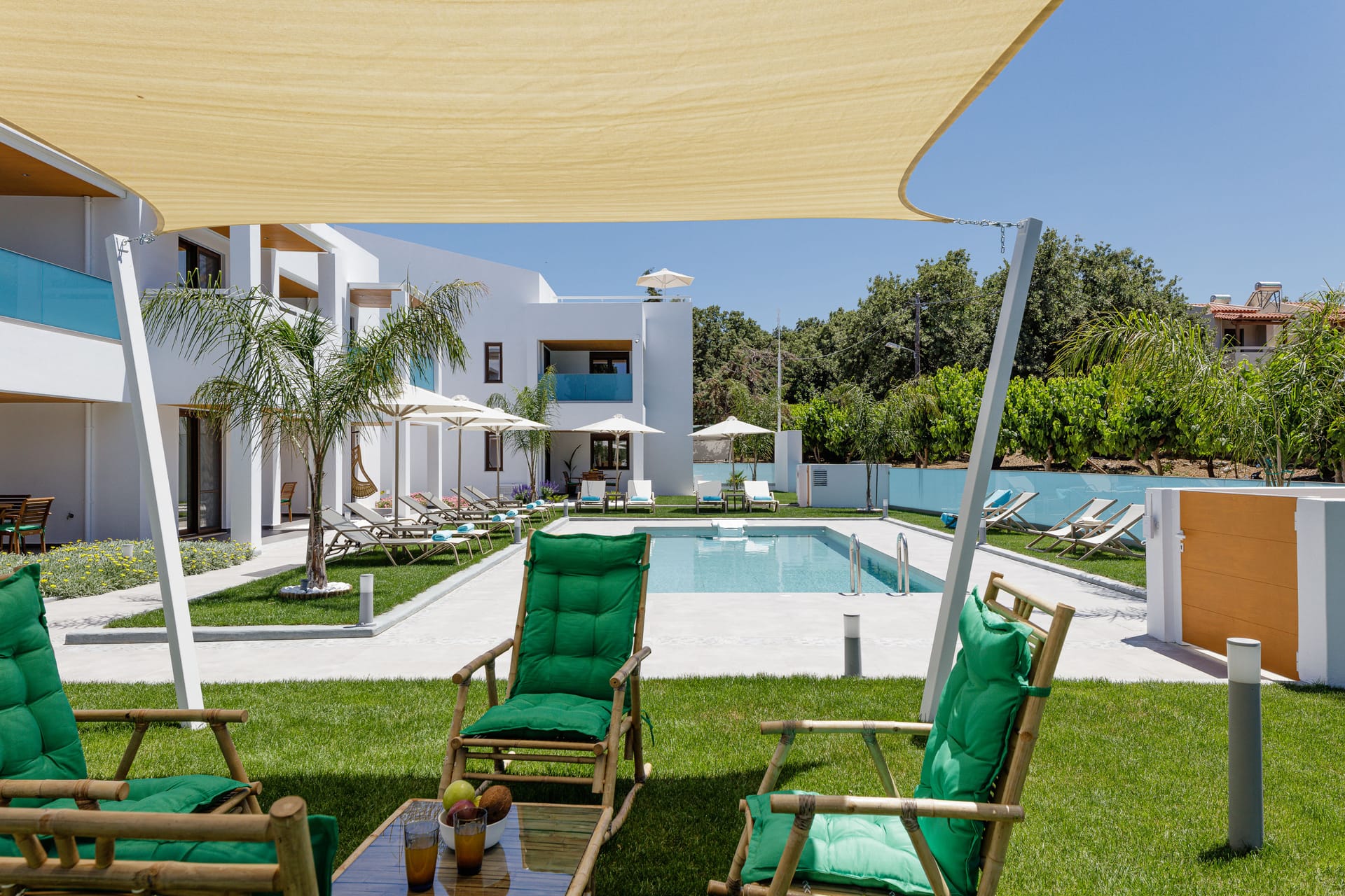 Coconut Palm Paradise